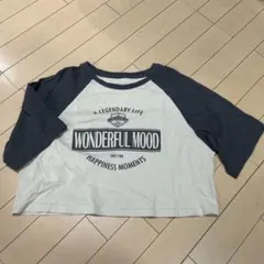 Dazy Mサイズ クロップドTシャツ グレー/ネイビー