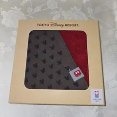 ディズニー　ミニタオル