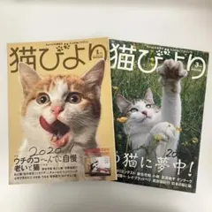 Item thumbnail for item 1a9d7ee8-df73-4a48-b1a1-72b9c276b442