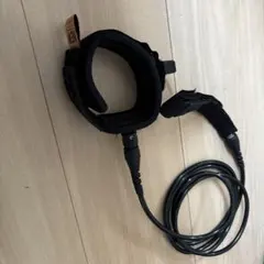 Item thumbnail for item c5e31c4a-777a-4935-8138-35d2a962bec7