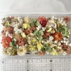 No.587 花材色々ドライフラワーセット