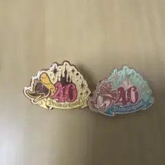 東京ディズニーリゾート 40周年 ピンバッジ 2個セット