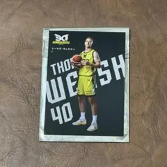 ふくにゃん様 リクエスト 2点 まとめ商品