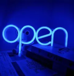 Item thumbnail for item 938f8679-c4c2-46d9-a882-e8cbeb5f5651