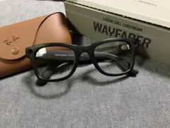 Ray-Ban Meta Wayfarer RW4006