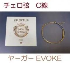 チェロ弦 ヤーガーJARGAR EVOKE A D G C セット - メルカリ