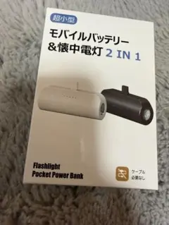 【新品未開封】モバイルバッテリー 4800mAhLightning iPhoneのサムネイル