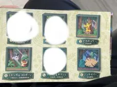 ポケモンフレーム 深緑の森