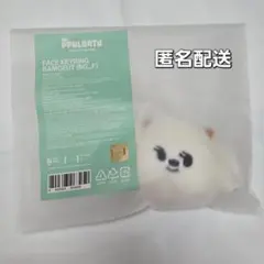 TXT PPULBATU BAMGEUT バムグッ FACE KEYRING