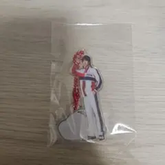 新テニミュ　フィフステ ランダムアクリルキーホルダー　アクキー 真田