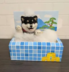 Item thumbnail for item 0100bb46-0645-41ea-9e04-8db16914d83f