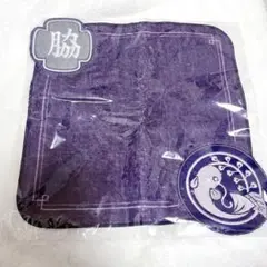 Item thumbnail for item c7a91fd8-a944-4d51-b40a-80d05a226acf