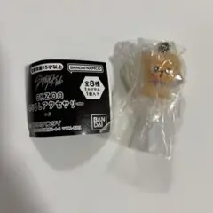 【匿名配送】SKZOO めじるしアクセサリー パピーム