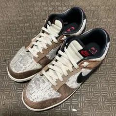 【使用1回のみ￼】NIKE Dunk Low PRM Head 2 Head