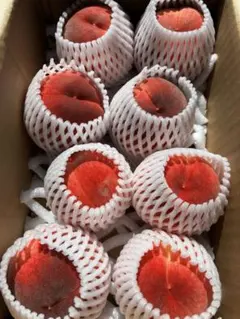 桃　あかつき　8玉　クール便着払いのサムネイル