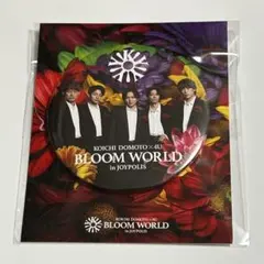 堂本光一 × ふぉ〜ゆ〜 in ジョイポリス 堂本光一缶バッジ - メルカリ