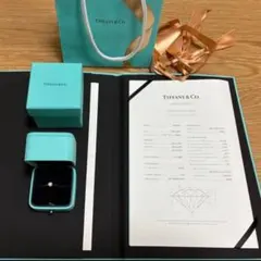 Item thumbnail for item d0f40fcc-8031-4a47-af45-d1a6402a4f79