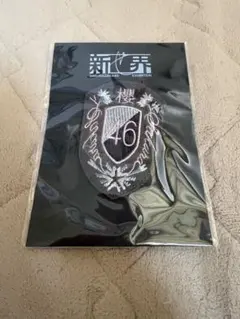 2026年最新】櫻坂46 新せ界の人気アイテム - メルカリ
