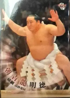 千代大海 直筆サイン入りトレーディングカード 2000年 九重部屋 親方