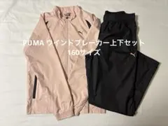 PUMA ウインドブレーカー上下セット　ジュニア160サイズ