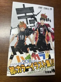 ハイキュー　ハイカラ　公式カラーイラスト集