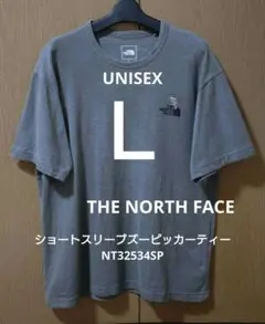 THE NORTH FACE ザノースフェイス 半袖TシャツＬサイズ