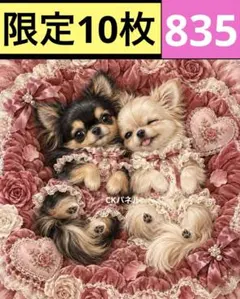 限定10枚！　レアパネル生地　無くなり次第終了です　6犬種パネル