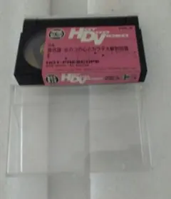 8mmビデオ HOT DOG VIDEO VOL.6