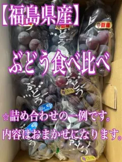 山梨県産ぶどう⭐️巨峰⭐️家庭用 7房入り箱込み約5.3キロ - メルカリ