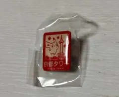 ポケモン ピンズのサムネイル