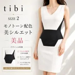 tibi 配色切替ワンピース SIZE2 S相当 モノトーン 美シルエットのサムネイル