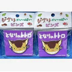 ジブリがいっぱい ピンズ となりのトトロ ネコバス