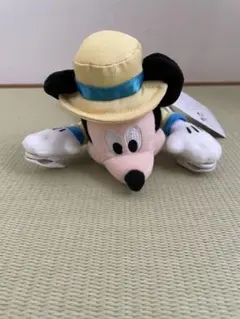 ミッキーマウス バケーションパッケージ