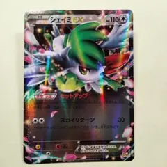 ポケモンカード シェイミEX SR SC シャイニーコレクション 021/020