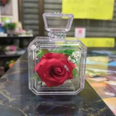 Item thumbnail for item 90fd55ae-5b5b-4a8b-90fd-ca66b8aaee2a