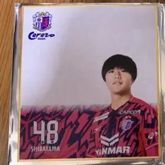ファジアーノ岡山　直筆メッセージ&サイン付きアクリル色紙　鈴木 喜丈　#43 ファジアーノ岡山 ミニ色紙（サインデータあり） 43.鈴木喜丈 選手