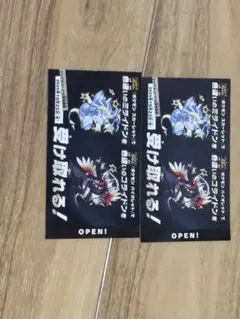 ポケモンSV 色違いミライドンとコライドンシリアルコード