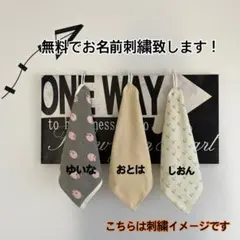 Item thumbnail for item 4e2083ef-8f7a-4a67-9336-c5f442dcafd9