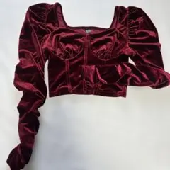 トップス　パフスリーブ ベロア ボルドーのサムネイル