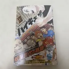 ハイキュー!! ショーセツバン!! XIII 怪獣世代を追え！