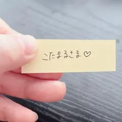 こたまる様専用　ソイネショップ