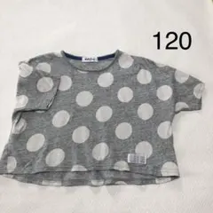 オールオルン　ドット柄　半袖　Tシャツ グレー 120cmのサムネイル