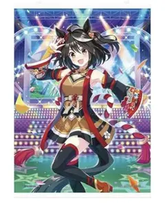 一番くじ ウマ娘 2弾A賞 キャンパス地タペストリー キタサンブラック