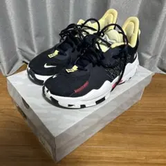 Nike PG 5