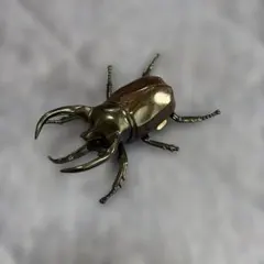 コーカサスオオカブト　プルバックミニカー