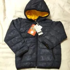 Item thumbnail for item 5feea372-d57b-423a-8200-d629b6590ebc