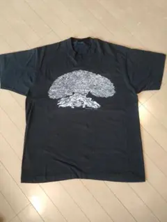 87年 The Family Tree of British ヴィンテージＴ 2026年最新】family tree tシャツの人気アイテム - メルカリ