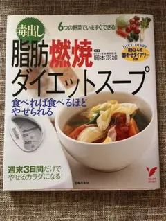 毒出し脂肪燃焼ダイエットスープ 岡本羽加