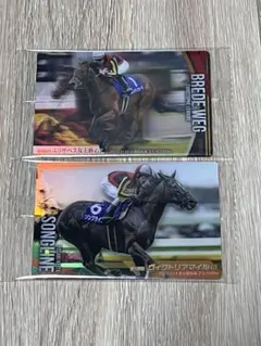 サラブレッドホースコレクション 第3R ソングライン・ブレイディヴェーグ