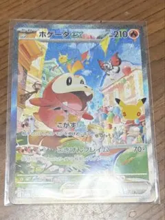 ホゲータex SAR　傷無し